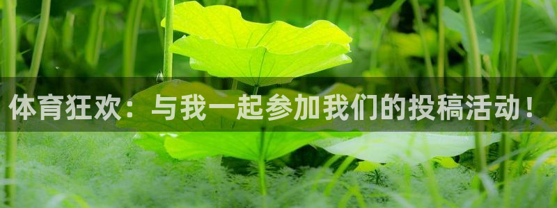 ug环球官网：体育狂欢：与我一起参加我们的投稿活动！