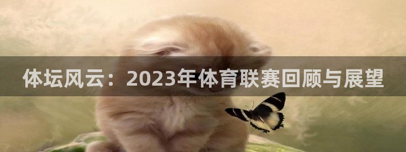 菲律宾ug环球官网：体坛风云：2023年体育联赛回顾与展望