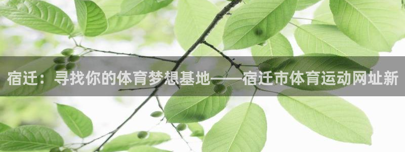 ug环球官网：宿迁：寻找你的体育梦想基地——宿迁市体育运动网址新