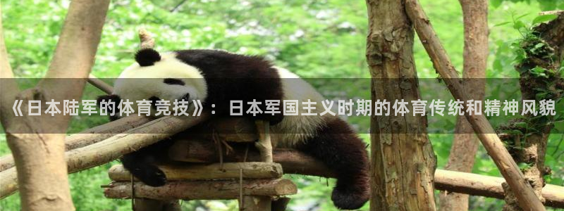 菲律宾ug环球官网：《日本陆军的体育竞技》：日本军国主义时期的体育传统和精神风貌
